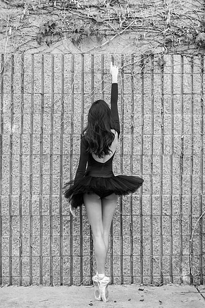 untitled (103 of 156)-2.jpg